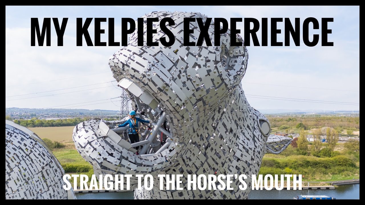 My Kelpies Experience: Straight to The Horse’s Mouth #kelpies