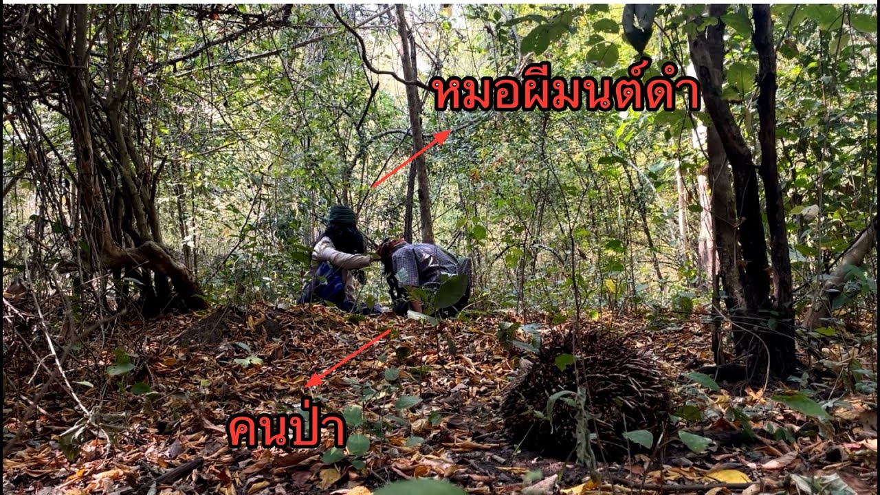 หมอผีมนต์ดำเอาหุ่นพยนต์เข้าตัวคนป่า