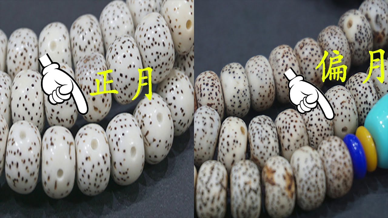 初学这样挑选星月菩提