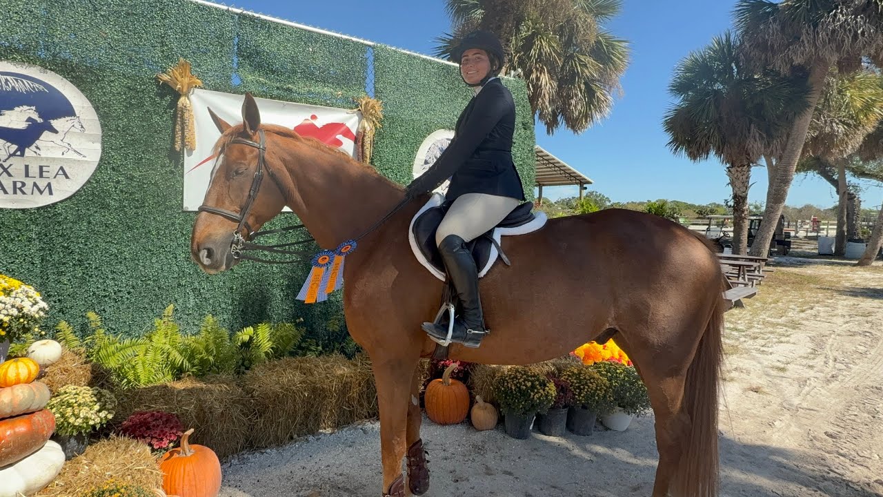 1st place round in the 15-17 3’3 eq on Crac D’iloe 
