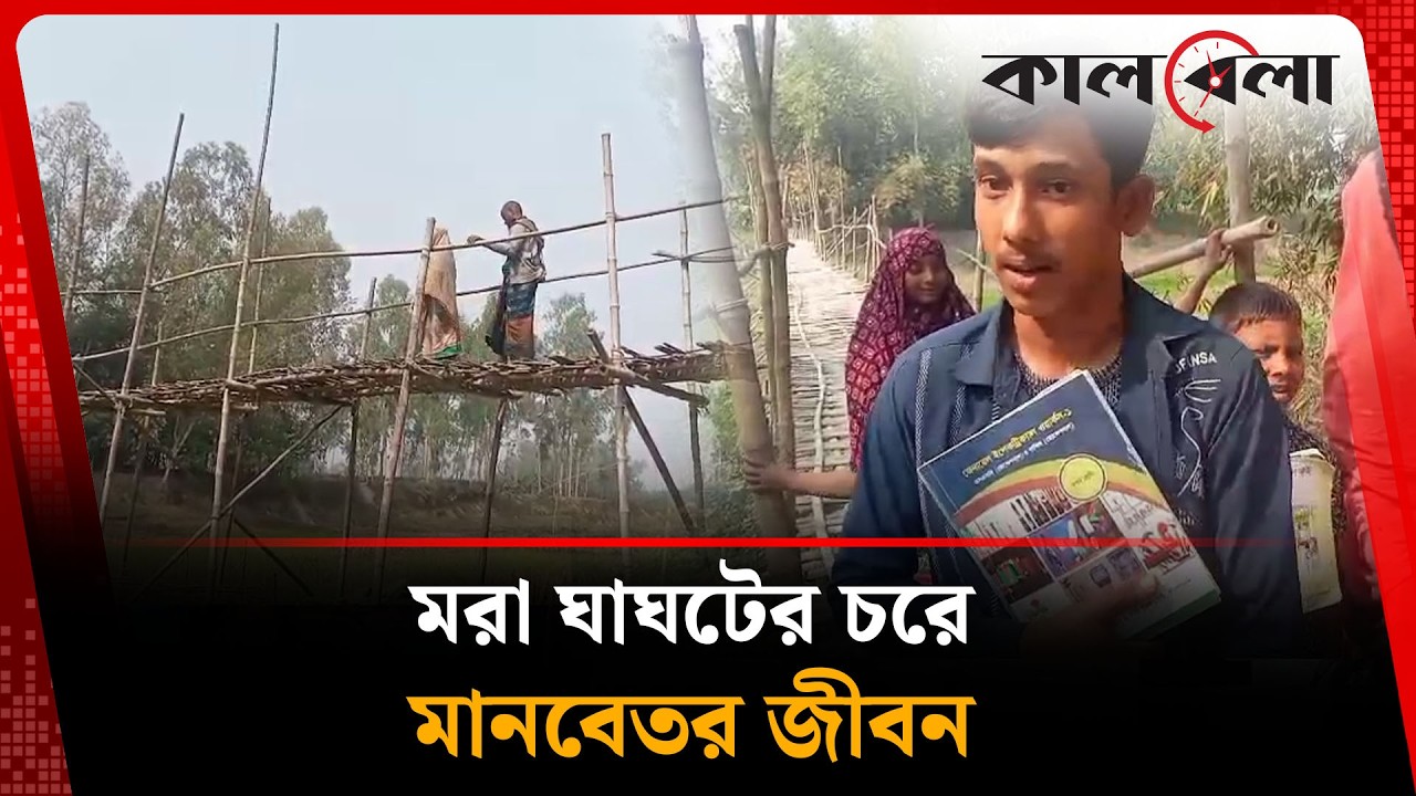 ভাঙা সাঁকো আর জমির আইল মাড়িয়েই চলছে শতাধিক মানুষের জীবন | Gaibandha | Kalbela