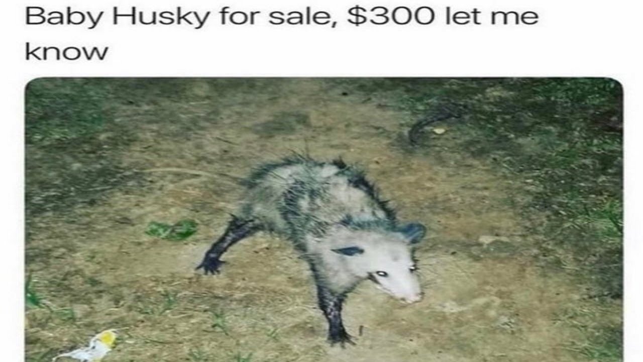 r/CrackheadCraigslist {3}