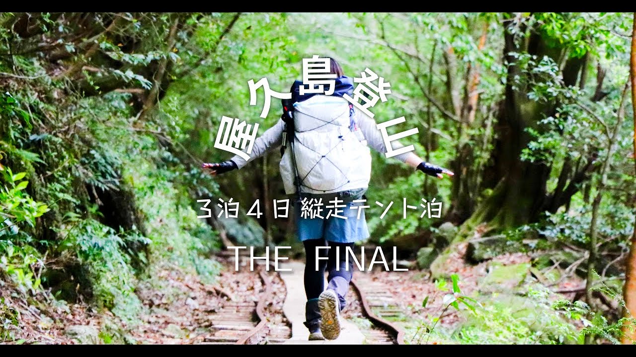 【最終話】屋久島のラストは縄文杉からトロッコ道と見どころいっぱいです。THE FINAL