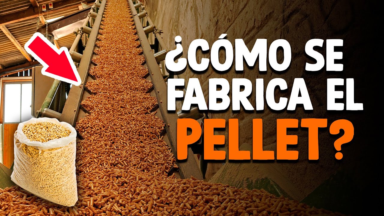 Cómo Se Fabrica El PELLET? [Proceso En Fábrica]