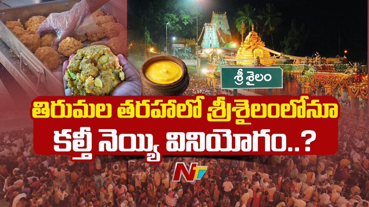 Andhra Pradesh : తిరుమల తరహాలో శ్రీశైలంలోనూ లడ్డూ ప్రసాదం తయారీకి కల్తీ నెయ్యి వినియోగం..? | NTV