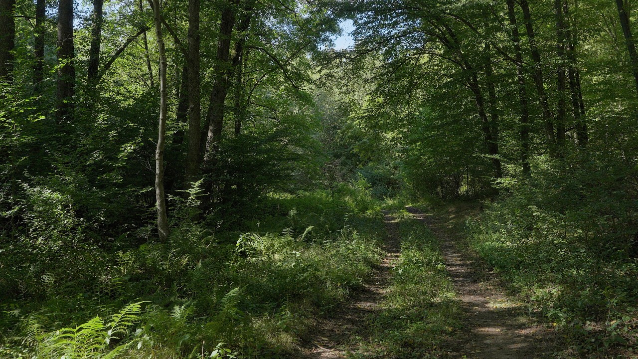 Tribeč 2