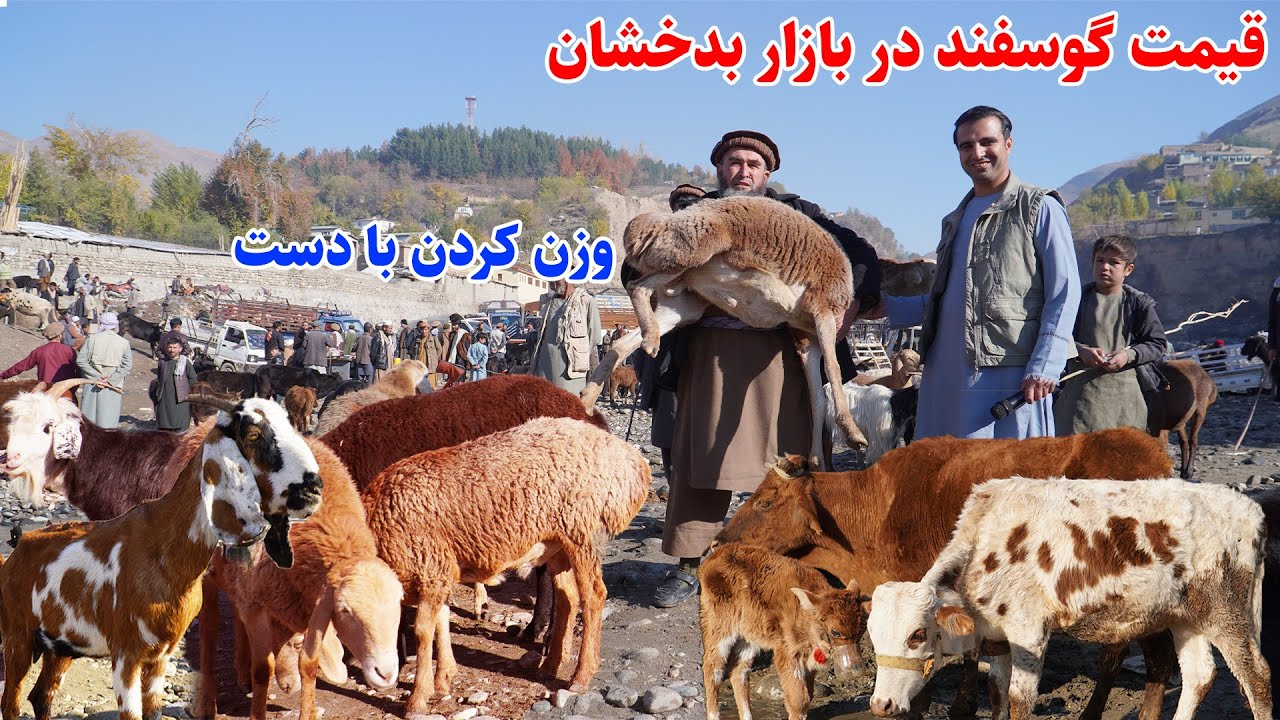 مال بازار بدخشان، قیمت شگفت انگیز گوسفند، قصه های بدخشانی Badakhshan Afghanistan