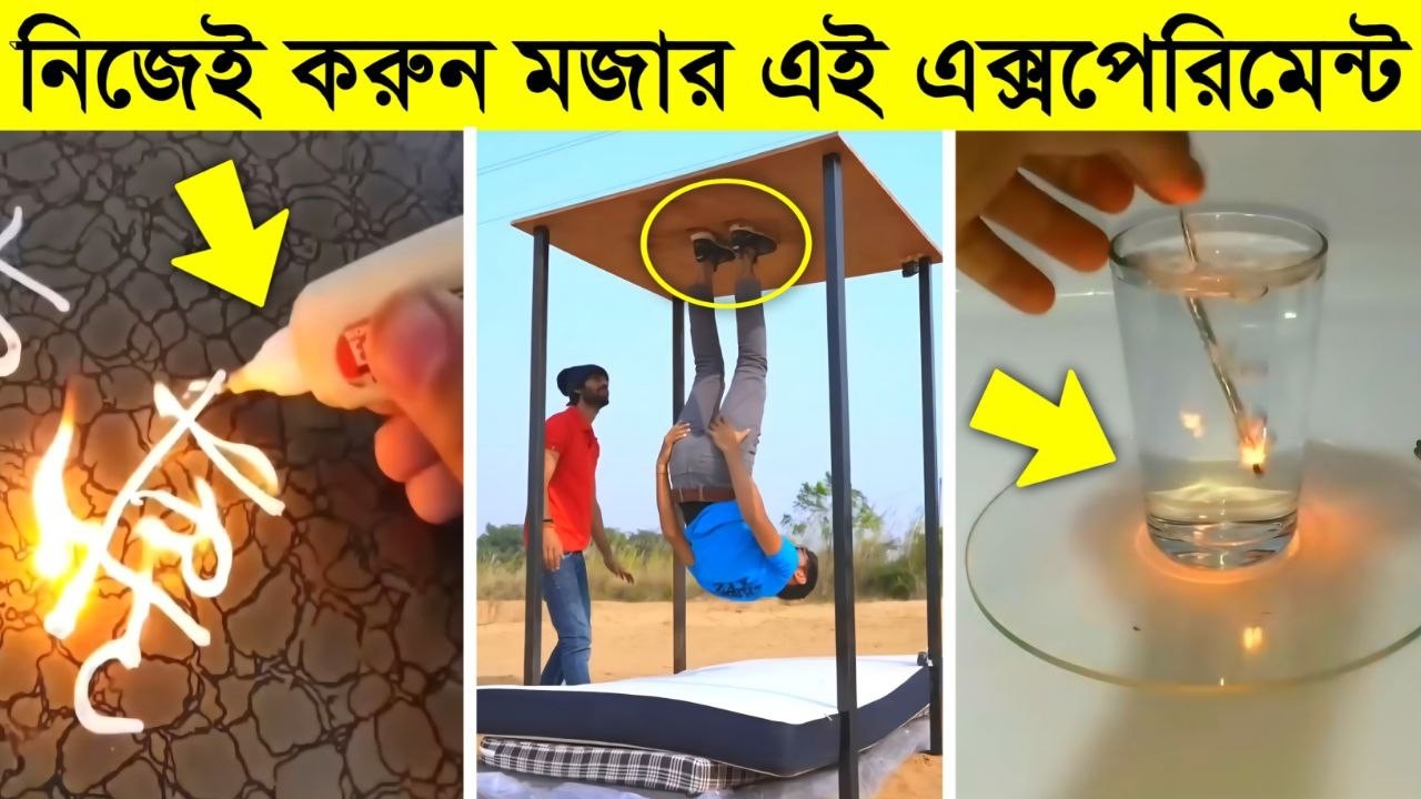 এমন মজার এক্সপেরিমেন্ট আগে কখনোই দেখেননি | Hydraulic press VS hammer | Amazing experiments