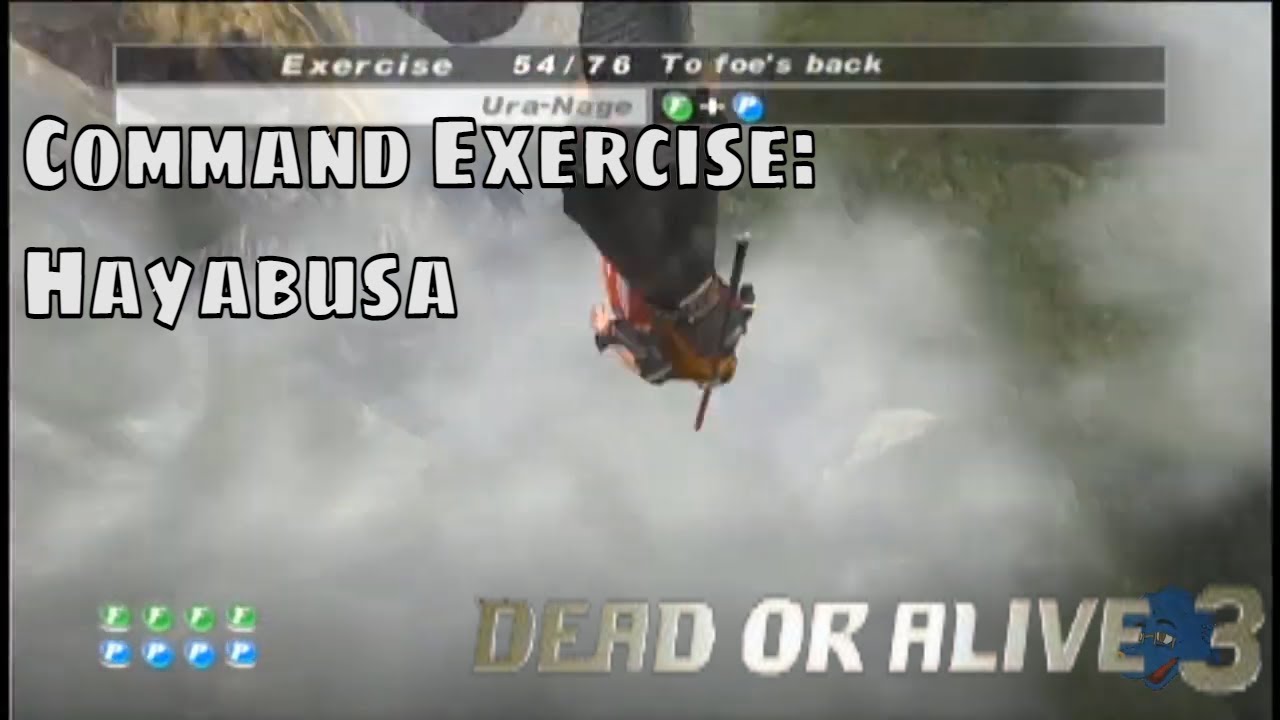 Dead or Alive 3 - Sparring: Command Exercise Hayabusa