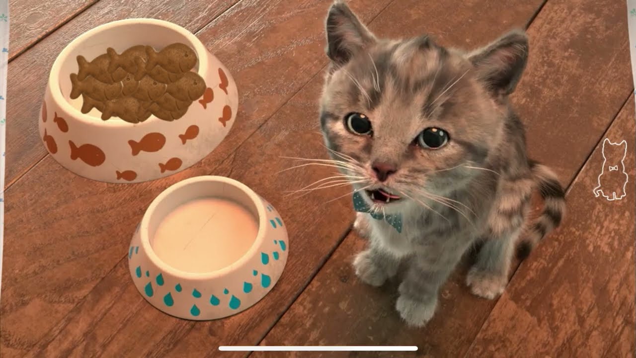 Little Kitten Preschool Adventure Educational Games -Play Fun Cute Kitten Pet Care Learning IOS #665