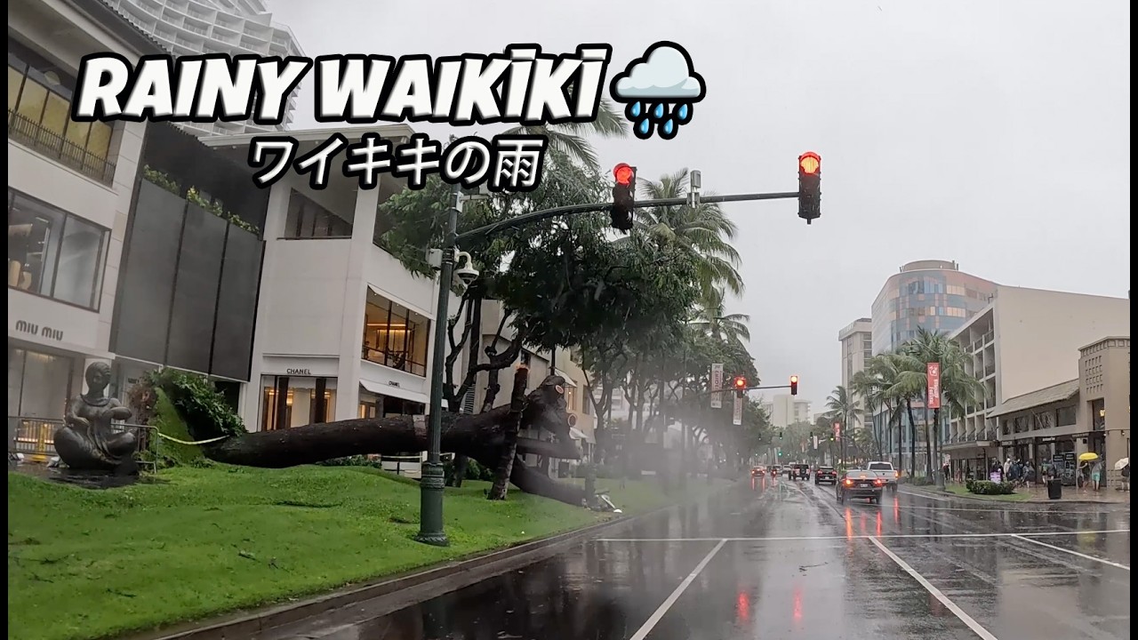 Rainy Honolulu & Waikiki Drive 🌧 Kona Low Storm | Moiliili, Kapahulu Ave | Mar 14 2026 雨のホノルル