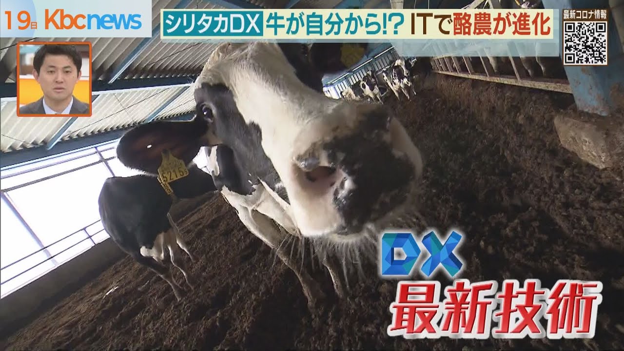 「牛が自分から？」ＩＴで酪農が変わる（シリタカＤＸ）