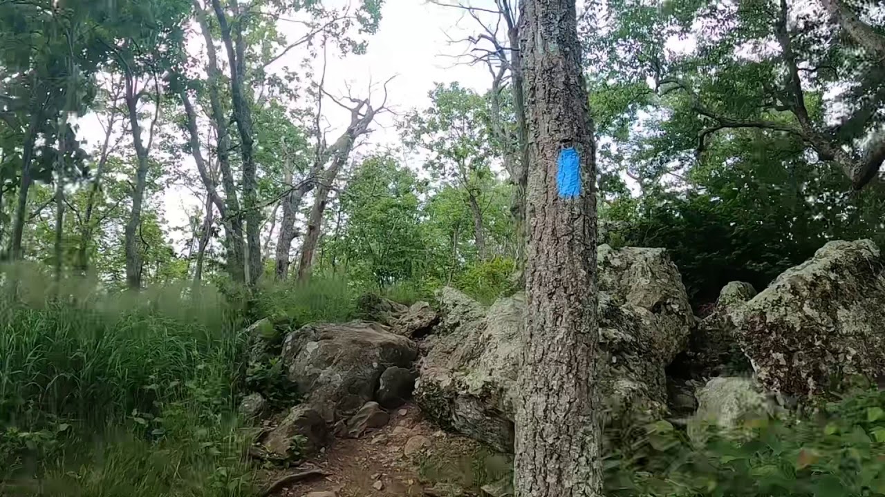 Bearfence Mountain