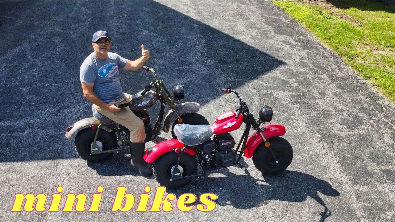Massimo MB200 Mini-Bikes for the Grandchildren
