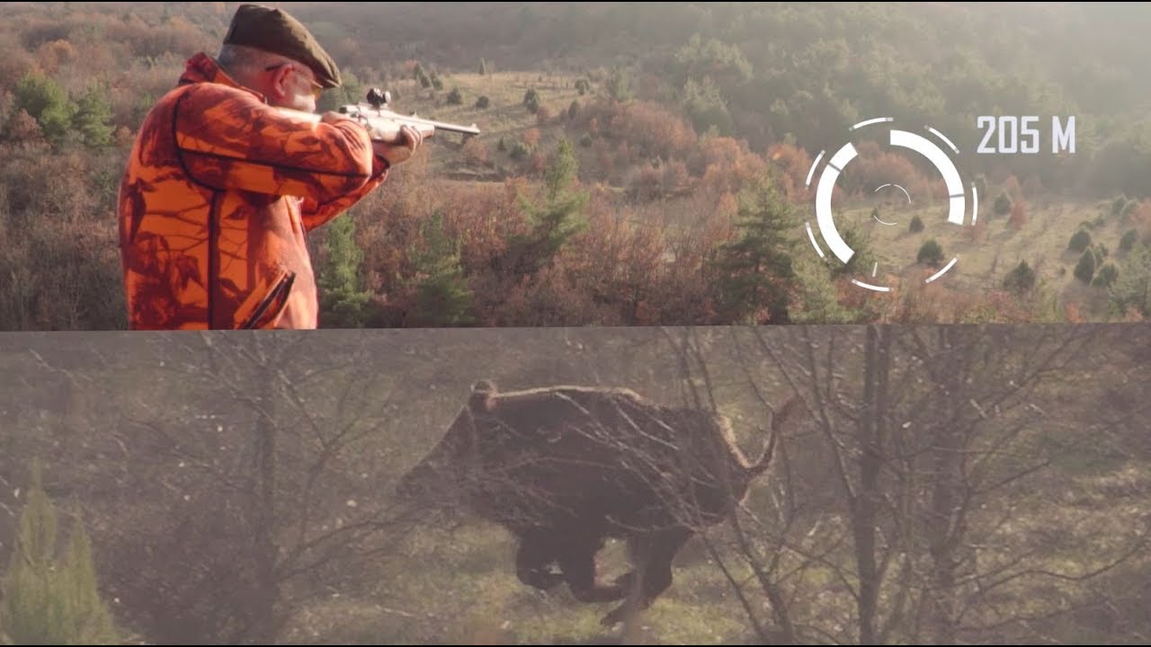 205 METREDEN HARİKA BİR DOMUZ VURUŞU/ WILDBOAR HUNTING / DOMUZ AVI / CHASSE