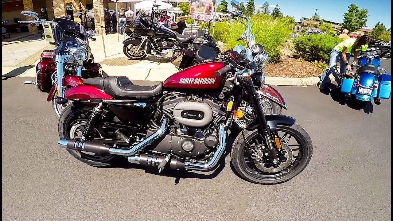 All-New Harley Roadster 1200 Test Ride!!  | BikeReviews