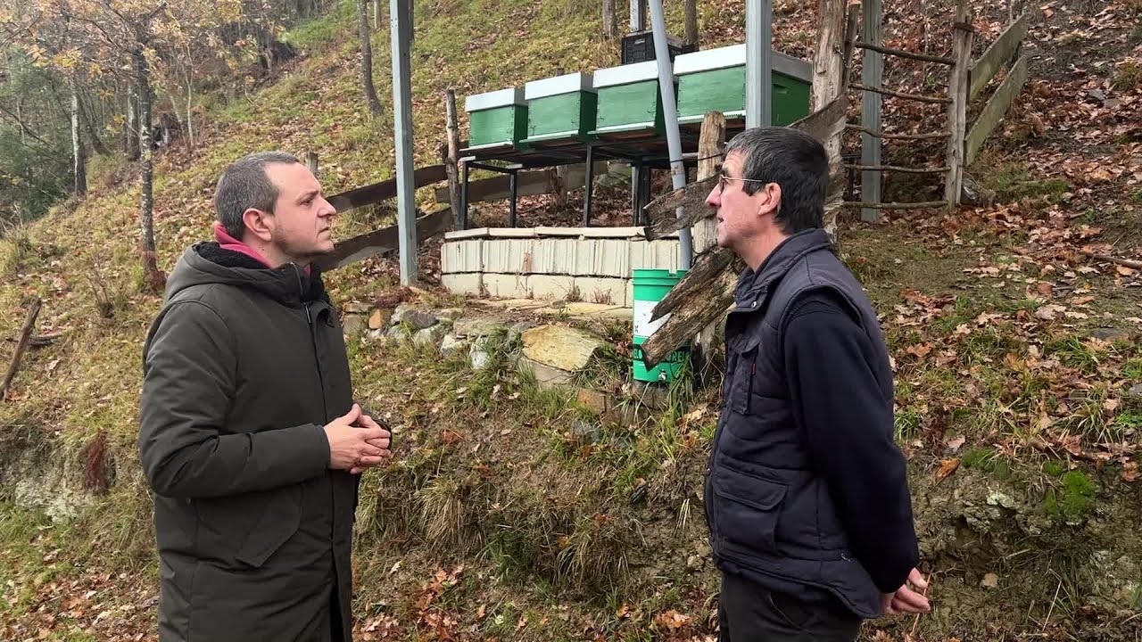 Liztor beltza, erlezainen amesgaiztoa