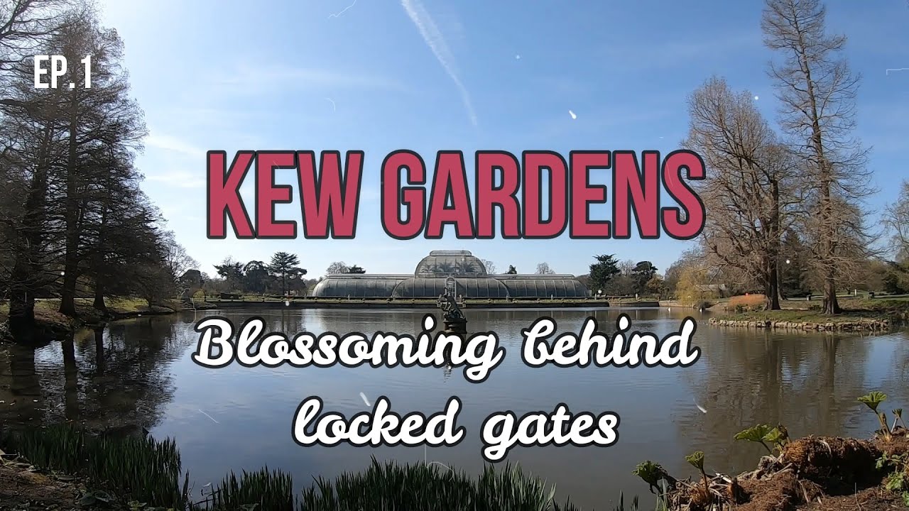 Kew Gardens - Walking Tour (HD)