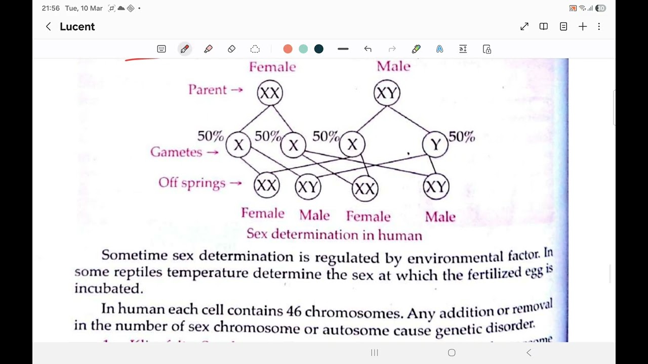 LUCENT #biology #PART 3 #sciencefacts 
