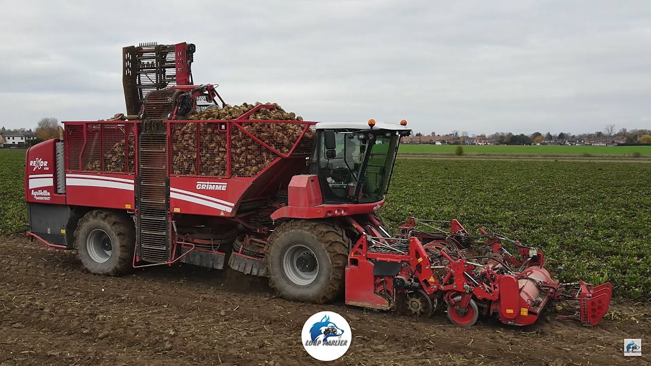 🔴🤩Arrachage de betteraves 2022 avec une GRIMME REXOR 620 | Agri Hellin