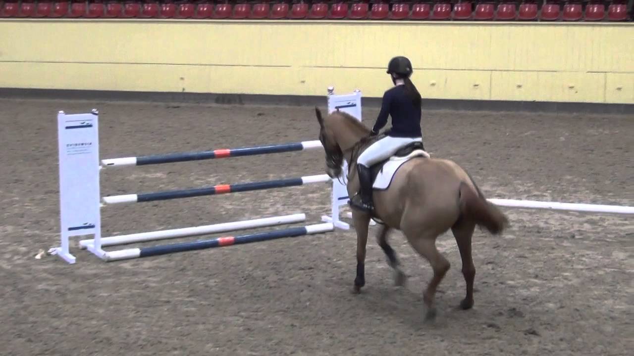 Hoppexamen Hippologen åk 3