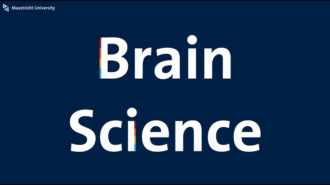 What is the Bachelor Brain Science?