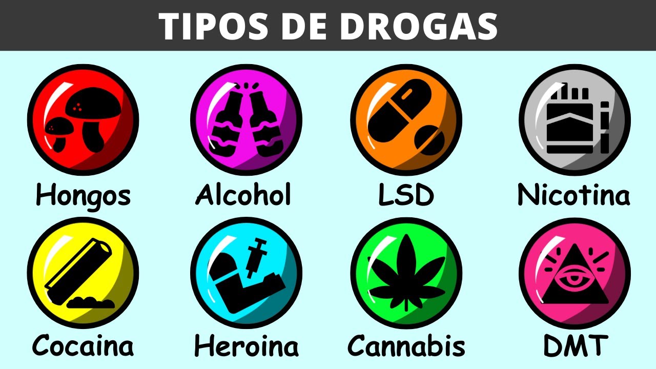 Todos los Tipos de Drogas en 9 Minutos