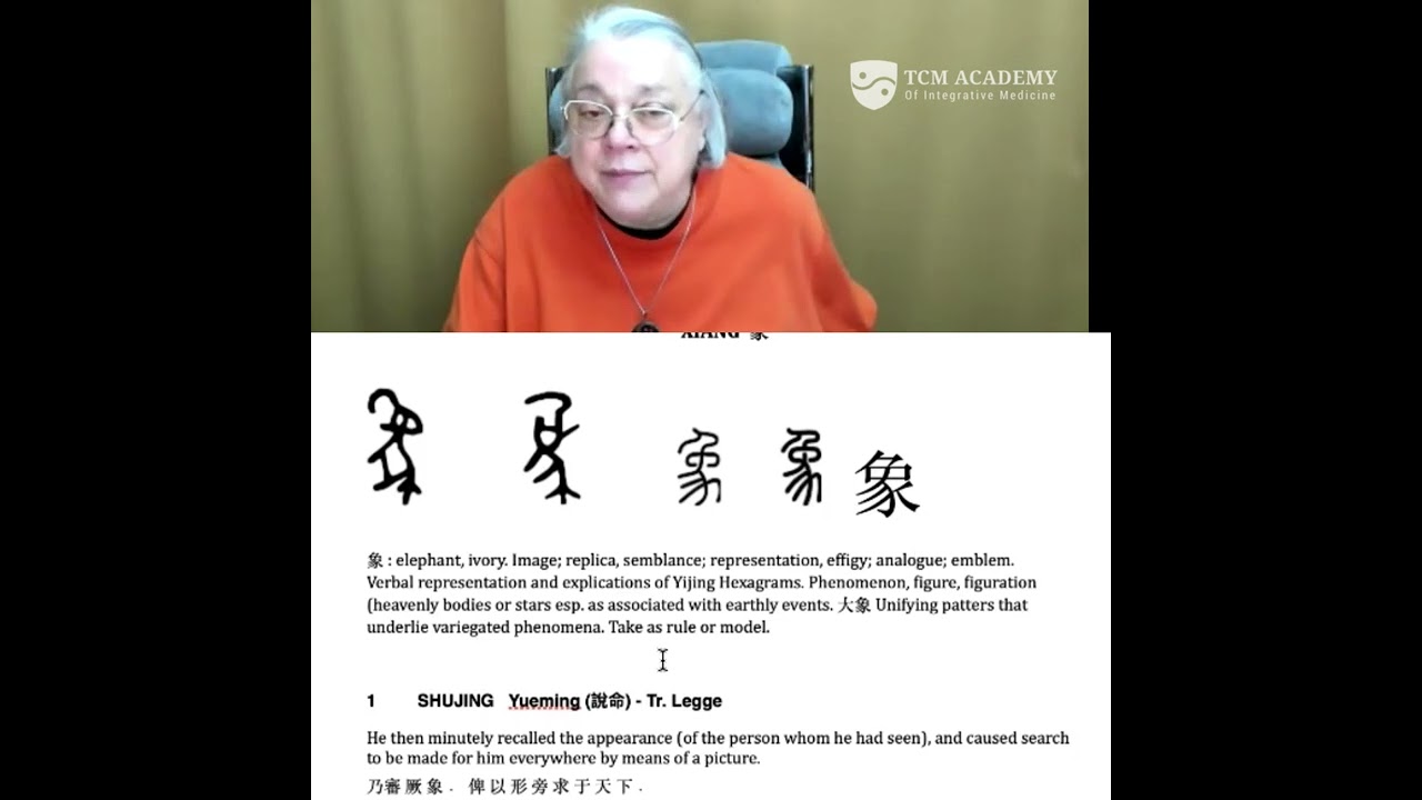 This Character was an Elephant, Now it's the Key to Zang Xiang