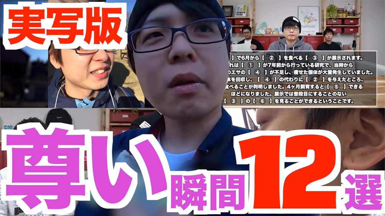 【三人称切り抜き】ペーさんを愛する全ての人へ！実写版ぺちゃんこの尊い瞬間１２選！【まとめ】