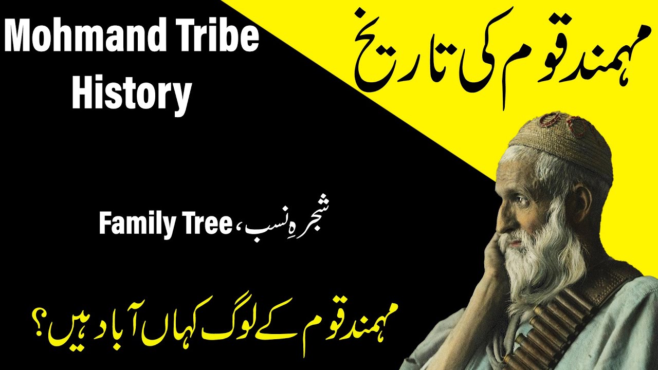 IHC Caste series: History of Mohmand and daulatyar tribes of pashtun-  Mohmand shajra nasab