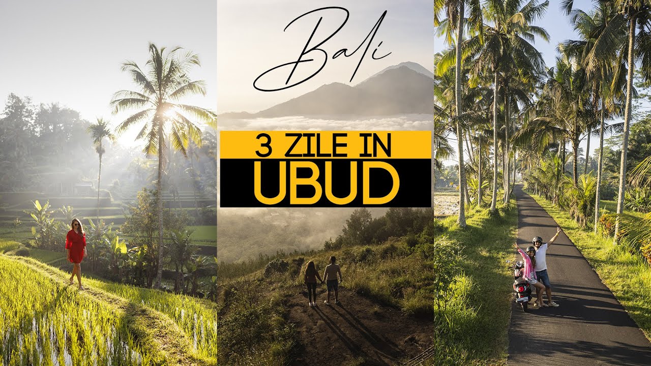 PARADISUL ASCUNS : Ce poți face 3 zile în UBUD, BALI ?