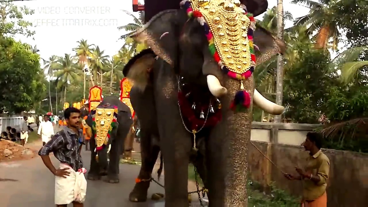 Kollam Valiyavila Madannada temple Annual Festival & Gajamela 2012