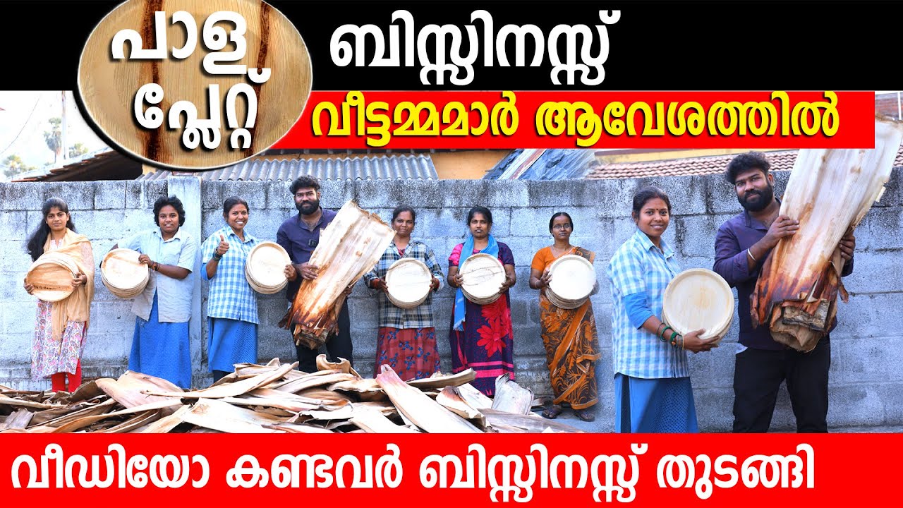 പാള പ്ലേറ്റ് ബിസ്സിനസ്സ് | വീട്ടമ്മമാർ ആവേശത്തിൽ | വീഡിയോ കണ്ടവർ ബിസ്സിനസ്സ് തുടങ്ങി |manufacturing