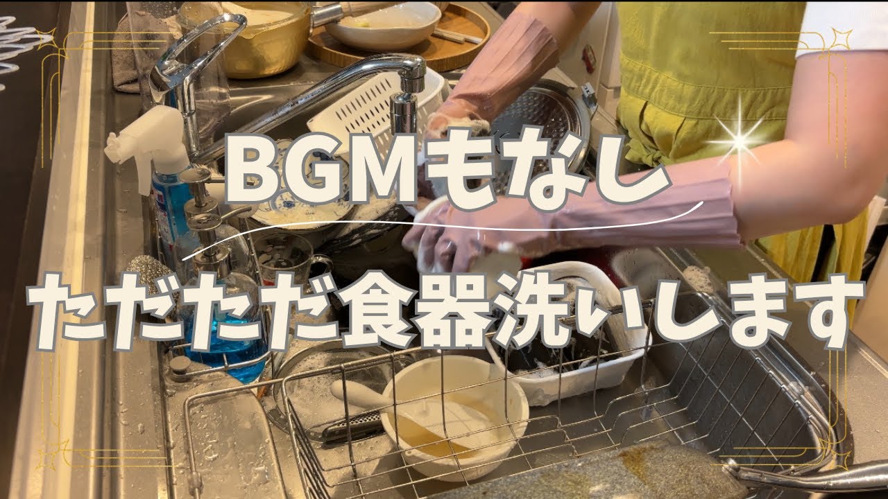 【生活音】ただひたすら食器を洗うだけの動画