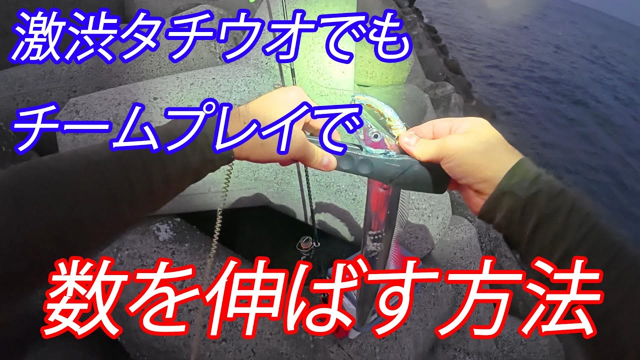 8月に入って大阪湾のタチウオはサイズアップしたのか？【大阪湾タチウオ】