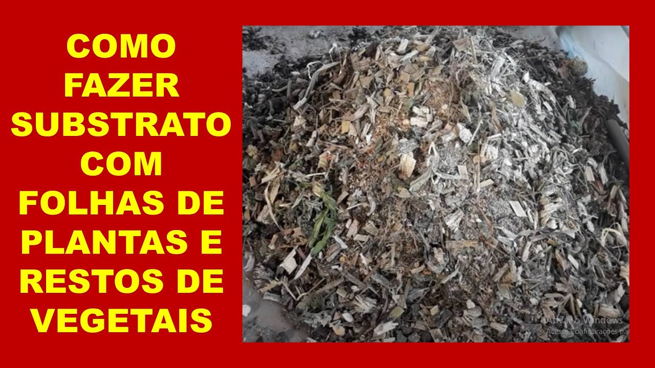 COMO FAZER SUBSTRATO COM FOLHAS DE PLANTAS E RESTOS DE VEGETAIS