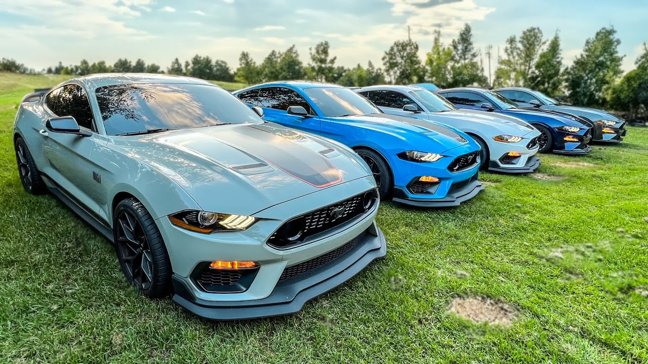When a Family Cookout turns into a Mustang Meet!!