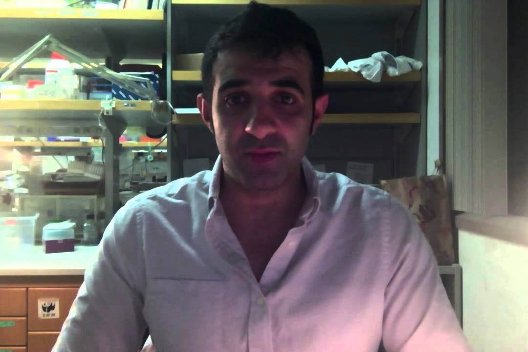 startx video