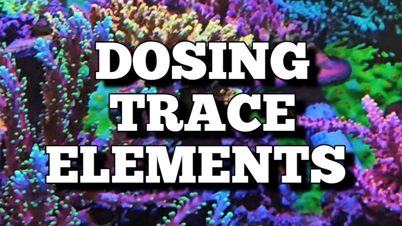 dosing trace