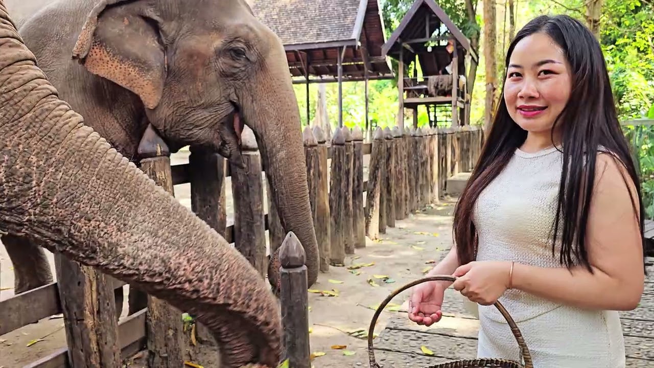 Travel Laos 2026 Ep.27