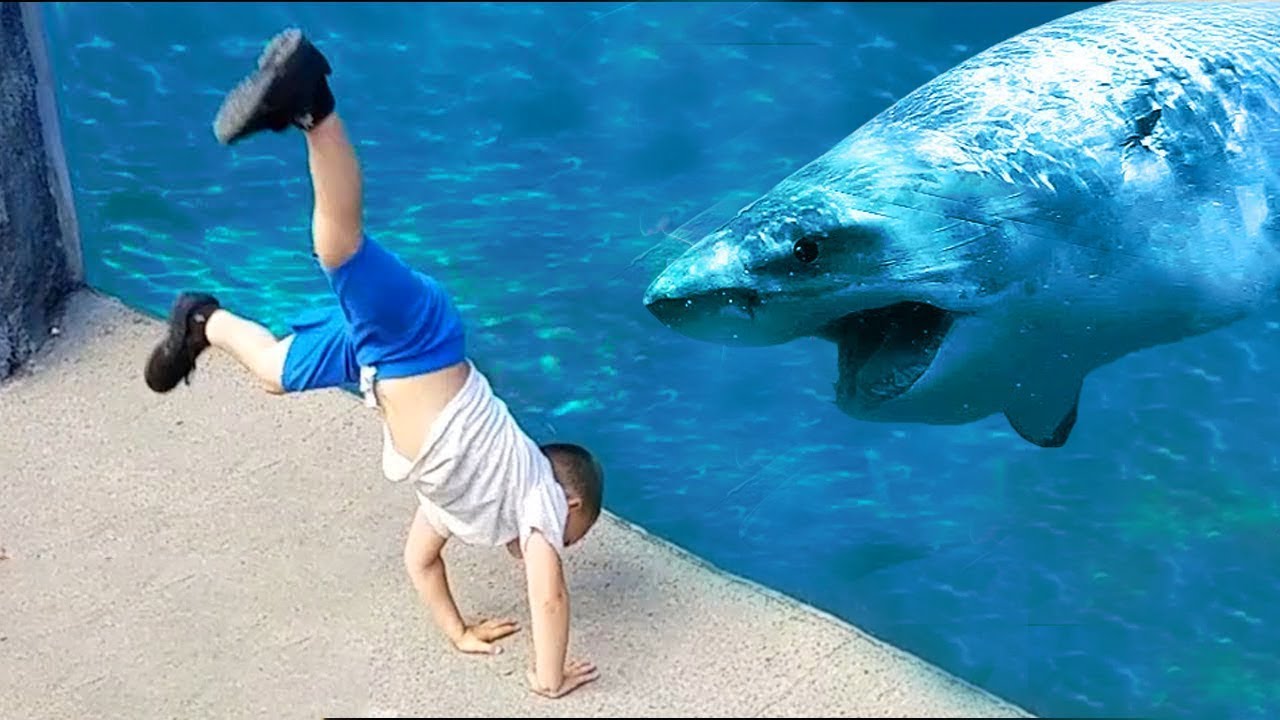 Try Not To Laugh Funniest  Baby at the Zoo | Funny Animals Reaction
