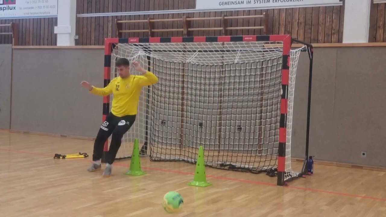 Goalkeeper training by Rajko Milosevic