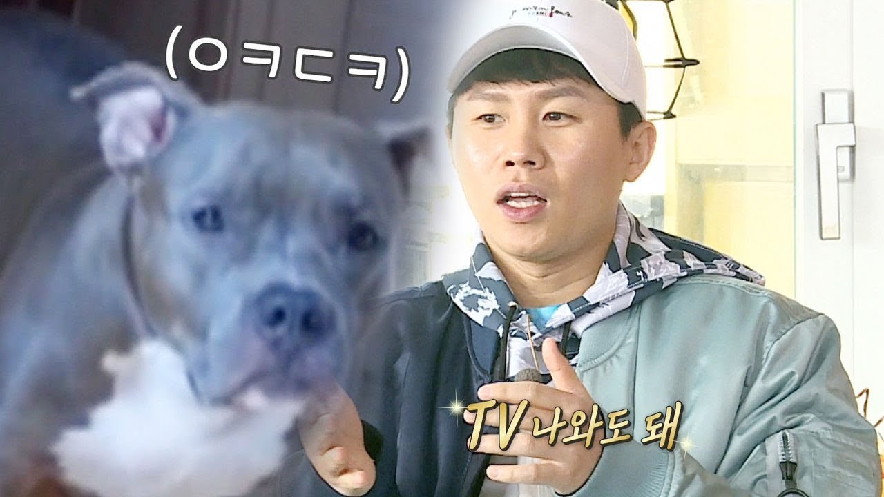 “TV 나와도 돼” 양세형, 반려견 독희 자랑 뿜뿜! @집사부일체 62회 20190324