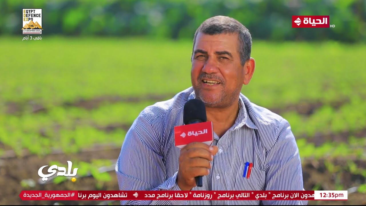 بلدي - من قرية المنير المنفردة بزراعة محصول القلقاس والفراوله المزارعون يحتفلون بعيد حصادهم