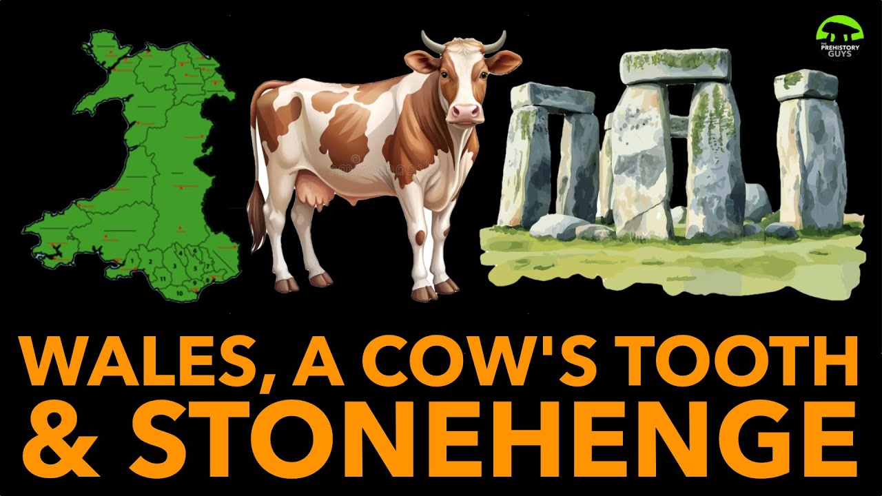 Has a 5,000 year old cow’s tooth changed the Stonehenge story?
