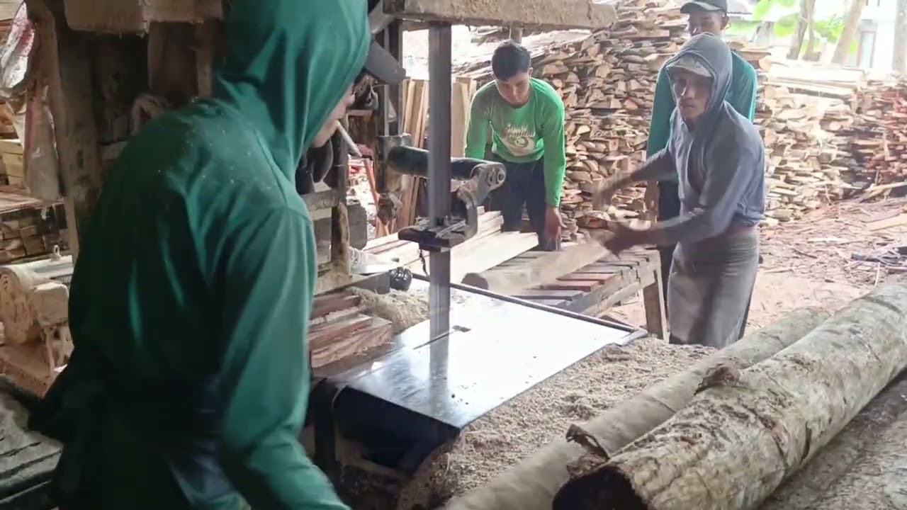 PALING MUDAH HASIL BERLIMPAH POTONG KAYU INI
