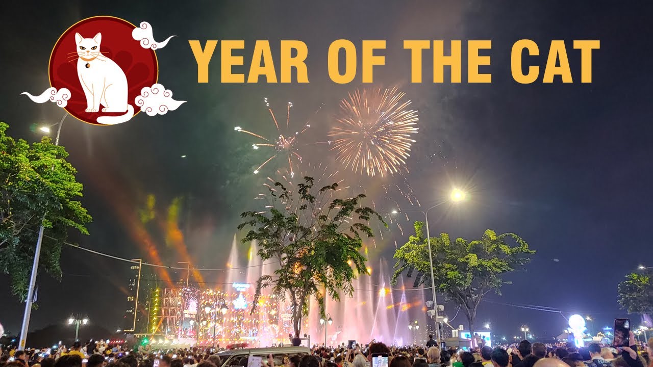 Quy Mao new year celebration at Bach Dang harbour and fireworks