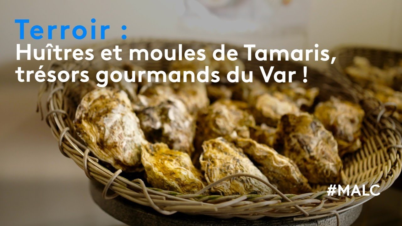 Terroir : huitres et moules de Tamaris, trésors gourmands du Var !