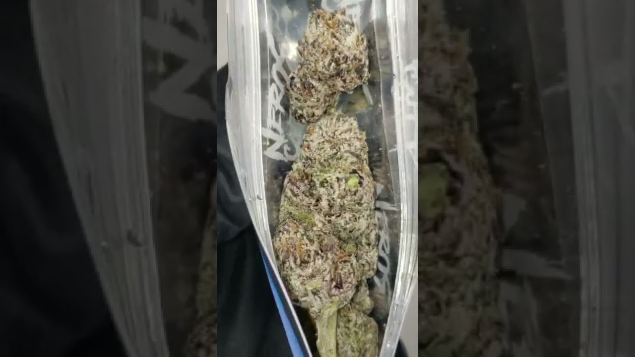 ICED BUFFIEZ JOKESUP X NEROZ CUT