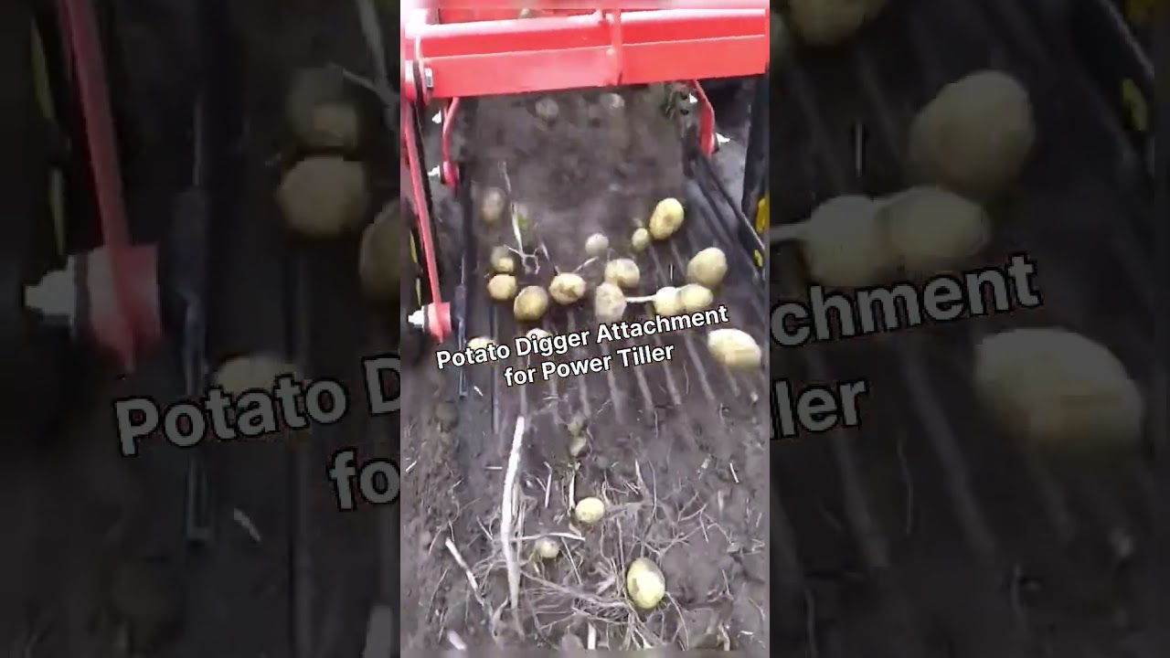 Potato Digger Attachment for Power Tiller